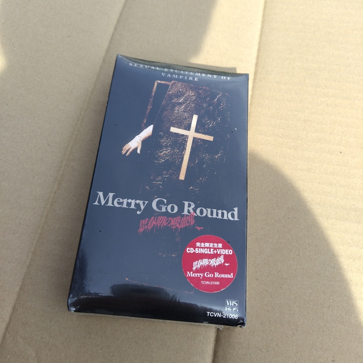 □昔のビジュアル系□完全限定盤□Merry Go Roundメリーゴーランド(ex