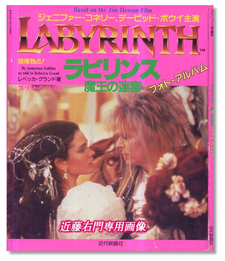 映画グッズ / 下敷き / ジェニファーコネリー / フェノミナ