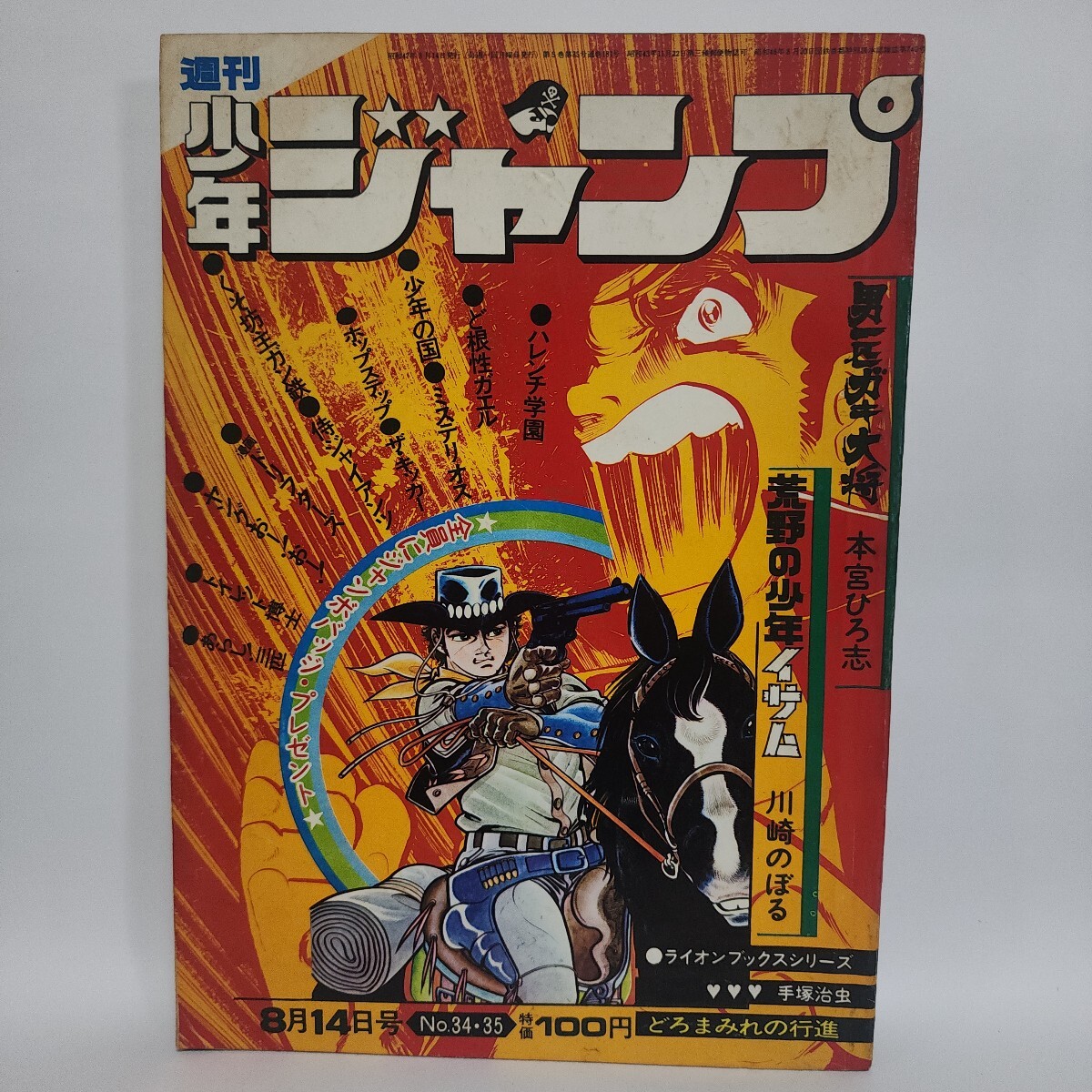 ライオンブックス 3本セット DVD 手塚 治虫「るんは風の中、山太郎