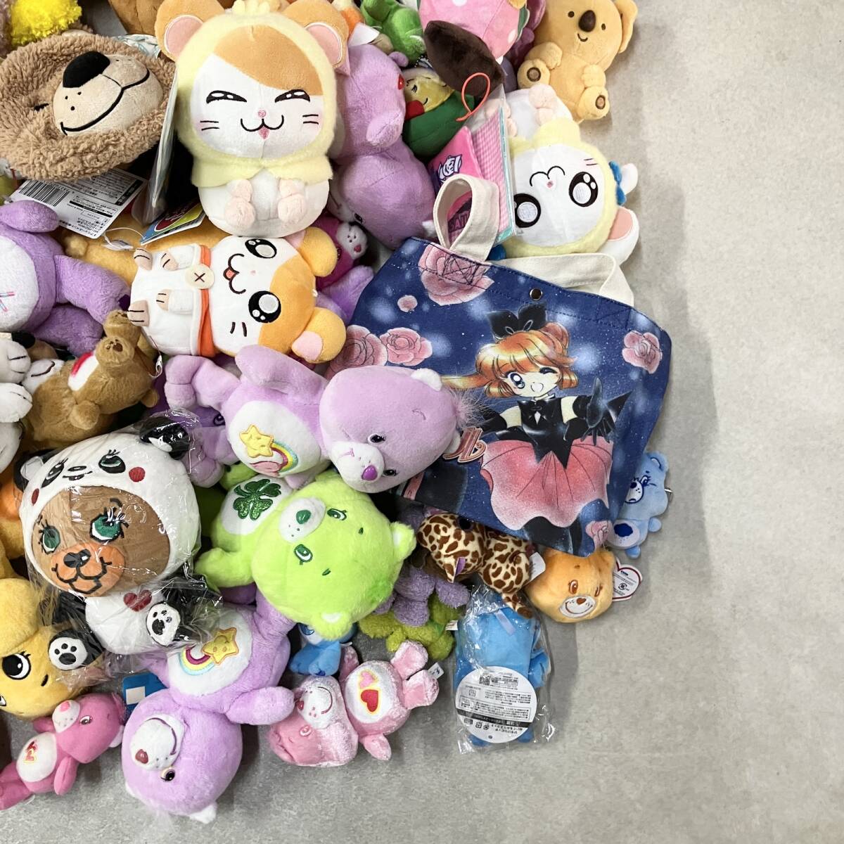 ケアベア ぬいぐるみ daydream デイドリーム care bears carebears
