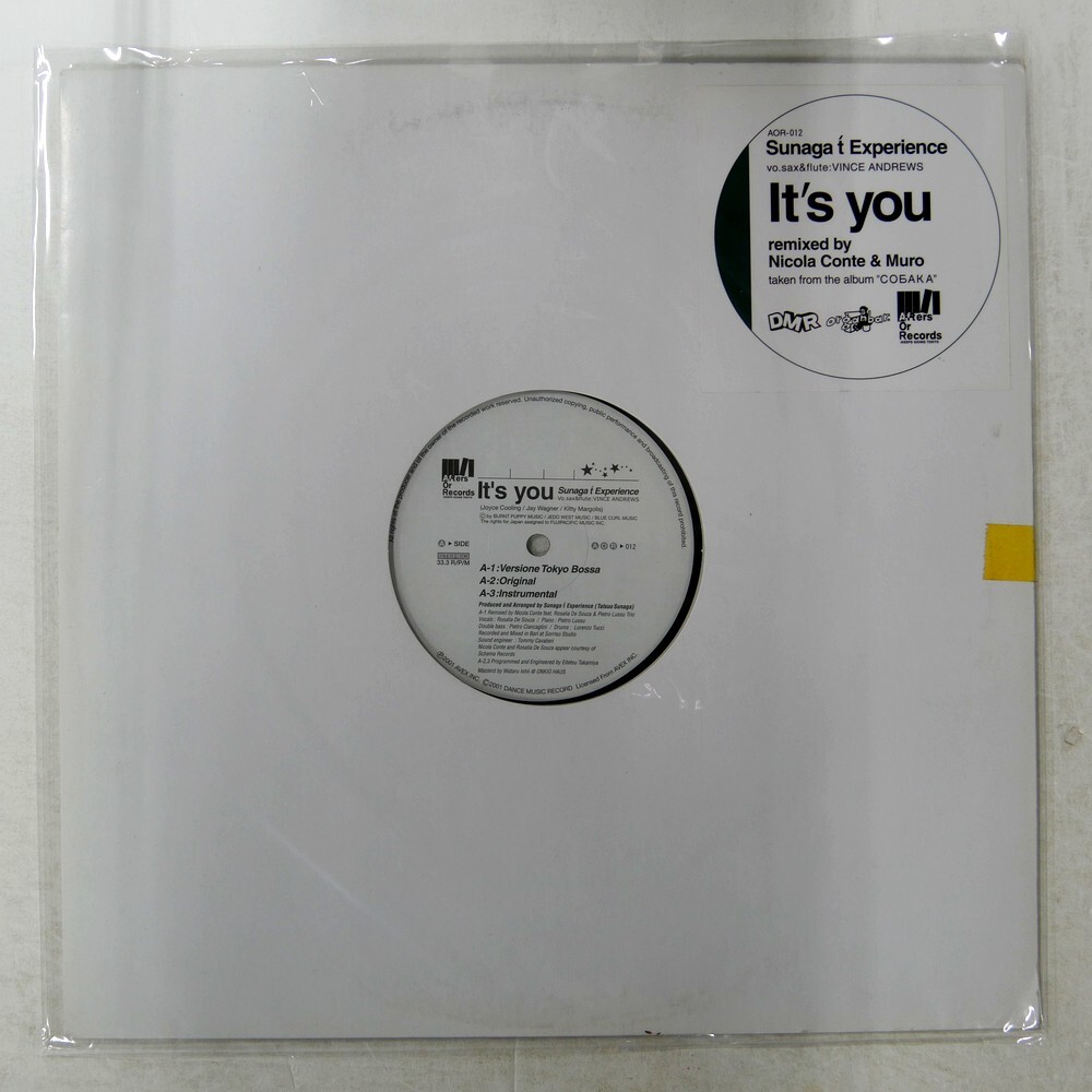 Sunaga t Experience - It's you Remixes plus / CD World Standard