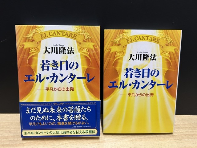 レア 非売品 若き日のエル・カンターレ 講義 大川隆法 幸福の科学 希少 特大 エルカンターレ像 大川隆法 ご本尊 幸福の科学の落札情報