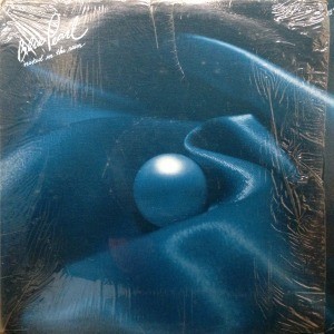 【傷や汚れあり】12inchレコード BLUE PEARL / NAKED IN THE RAINの落札情報詳細 - Yahoo!オークション
