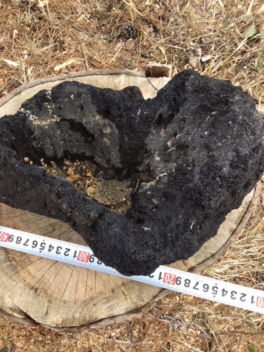 群馬県産溶岩石1 国産浅間溶岩石 水草活着 コケ苔 アクアリウム テラリウム 熱帯魚 メダカ水槽 苔玉 盆栽 アヌビアス 観賞 盆石 の落札情報詳細 ヤフオク落札価格情報 オークフリー スマートフォン版