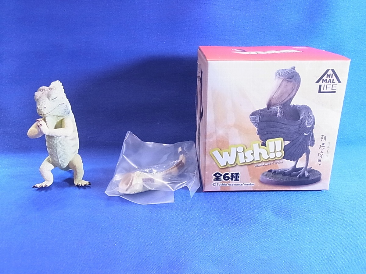 朝隈俊男 Animal Life Wish 祈 グリーンイグアナ アニマルライフ ウィッシュ 祈 の落札情報詳細 ヤフオク落札価格情報 オークフリー スマートフォン版