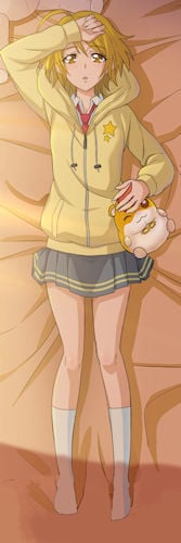 HUGっと! プリキュア 輝木 ほまれ 枕カバー キュアエトワール ハグプリ 輝木ほまれ HUGっとプリキュア 抱き枕