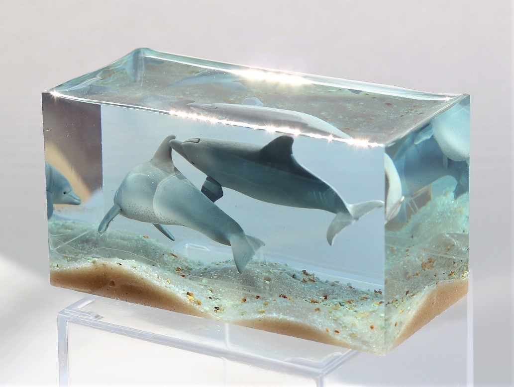 ミナミハンドウイルカ ネイチャーテクニカラー小笠原 レジン封入 ミニジオラマ の落札情報詳細 ヤフオク落札価格情報 オークフリー スマートフォン版