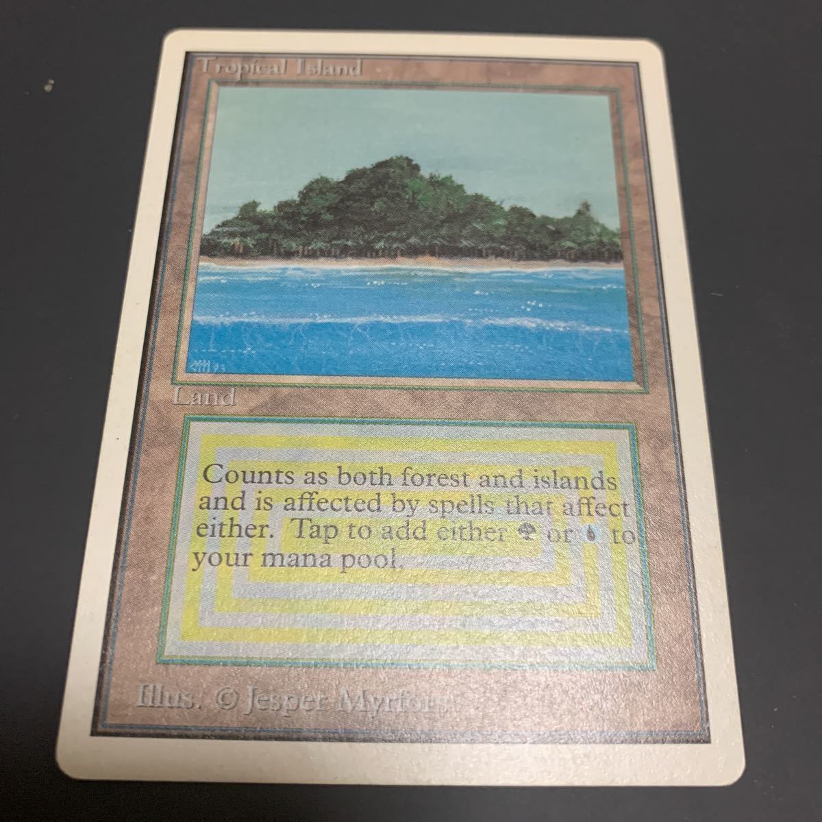 Tropical Island 英語版 うれし デュアルランド