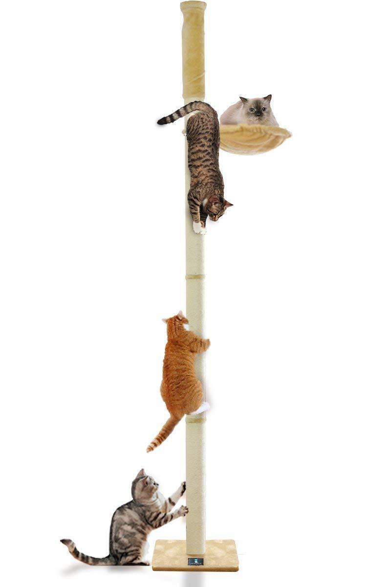 新品 ドバッと1 ポールツリー キャットポール タワー ハンモック付き ベージュ 直径10cm 突っ張り 全高240 255cm ねこ 木登り 爪とぎ 運動 の落札情報詳細 ヤフオク落札価格情報 オークフリー スマートフォン版
