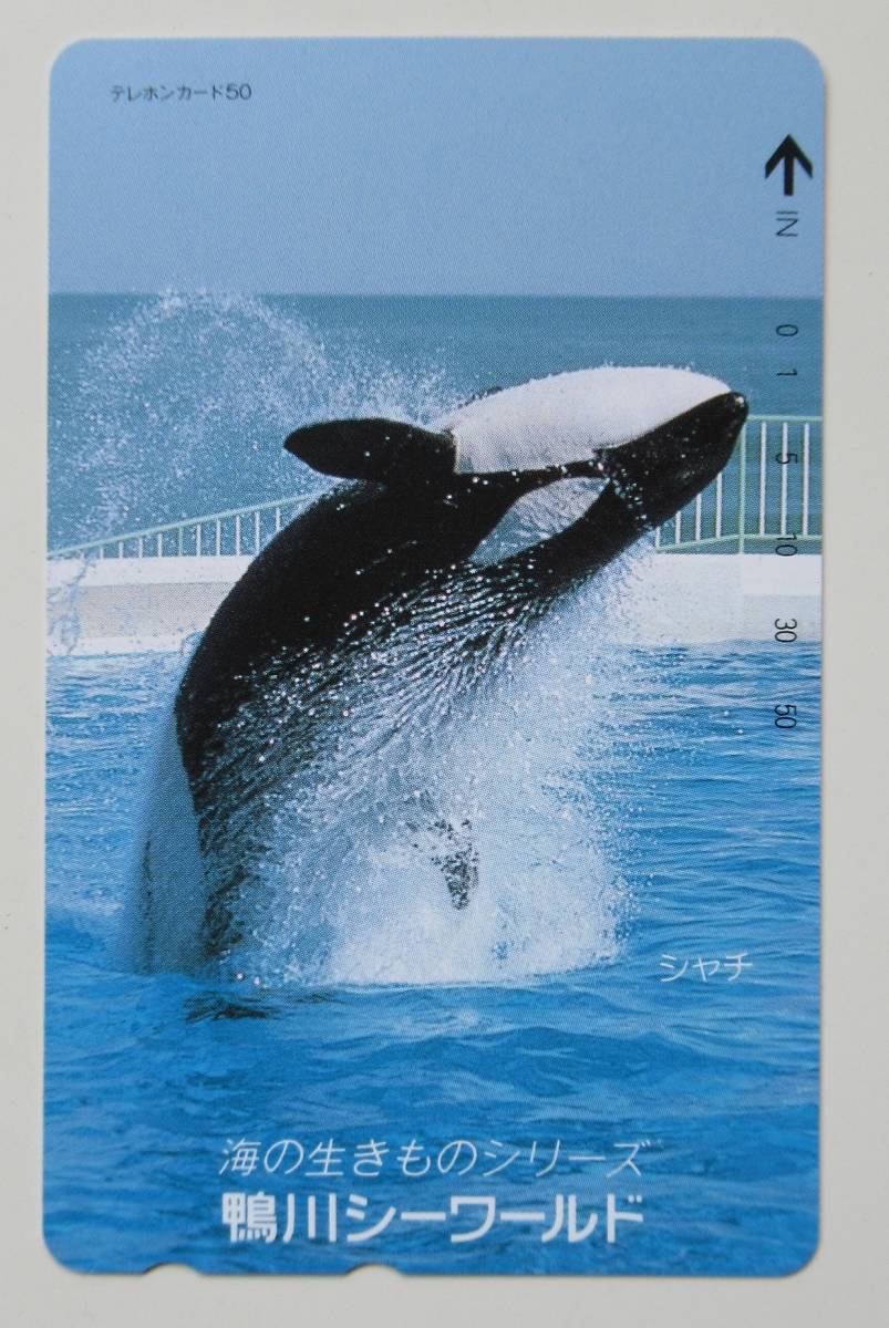 新品 テレホンカード 鴨川シーワールド シャチ 50度数 の落札情報詳細 ヤフオク落札価格情報 オークフリー スマートフォン版