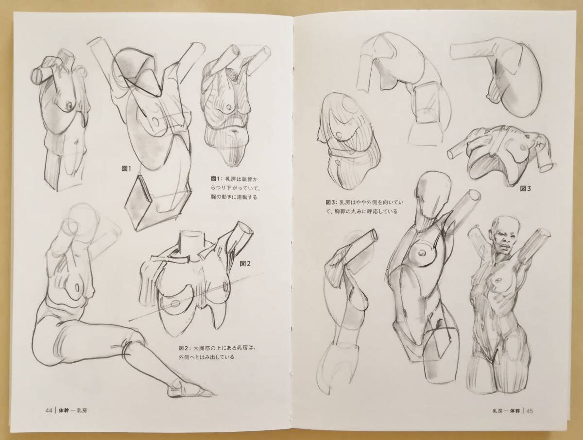 箱と円筒で描く モルフォ人体デッサン ミニシリーズ ミシェル ローリセラ著 の落札情報詳細 ヤフオク落札価格情報 オークフリー スマートフォン版