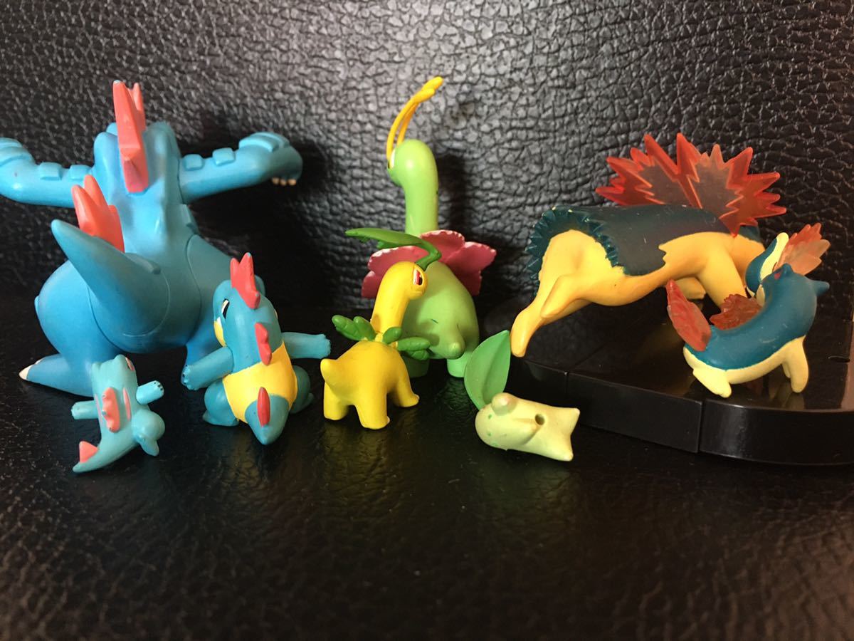 立体ポケモン図鑑 オーダイル メガニウム バクフーン ポケモン