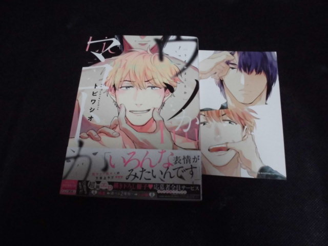 新品 8月未読本 ウソかマコトか トビワシオ とらのあな特典イラストカード 応募券付 送料無料 の落札情報詳細 ヤフオク落札価格情報 オークフリー スマートフォン版