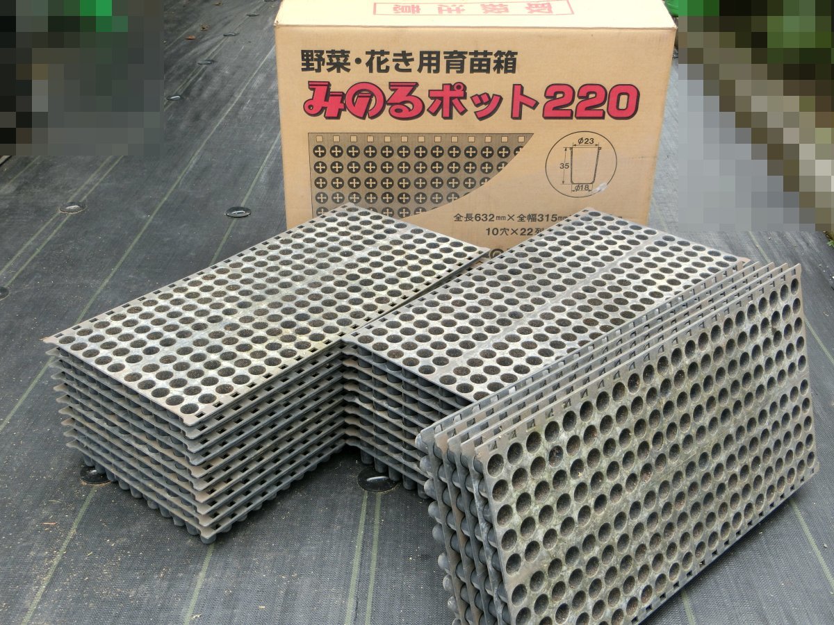 専用育苗箱 みのる ポットシステム No.20