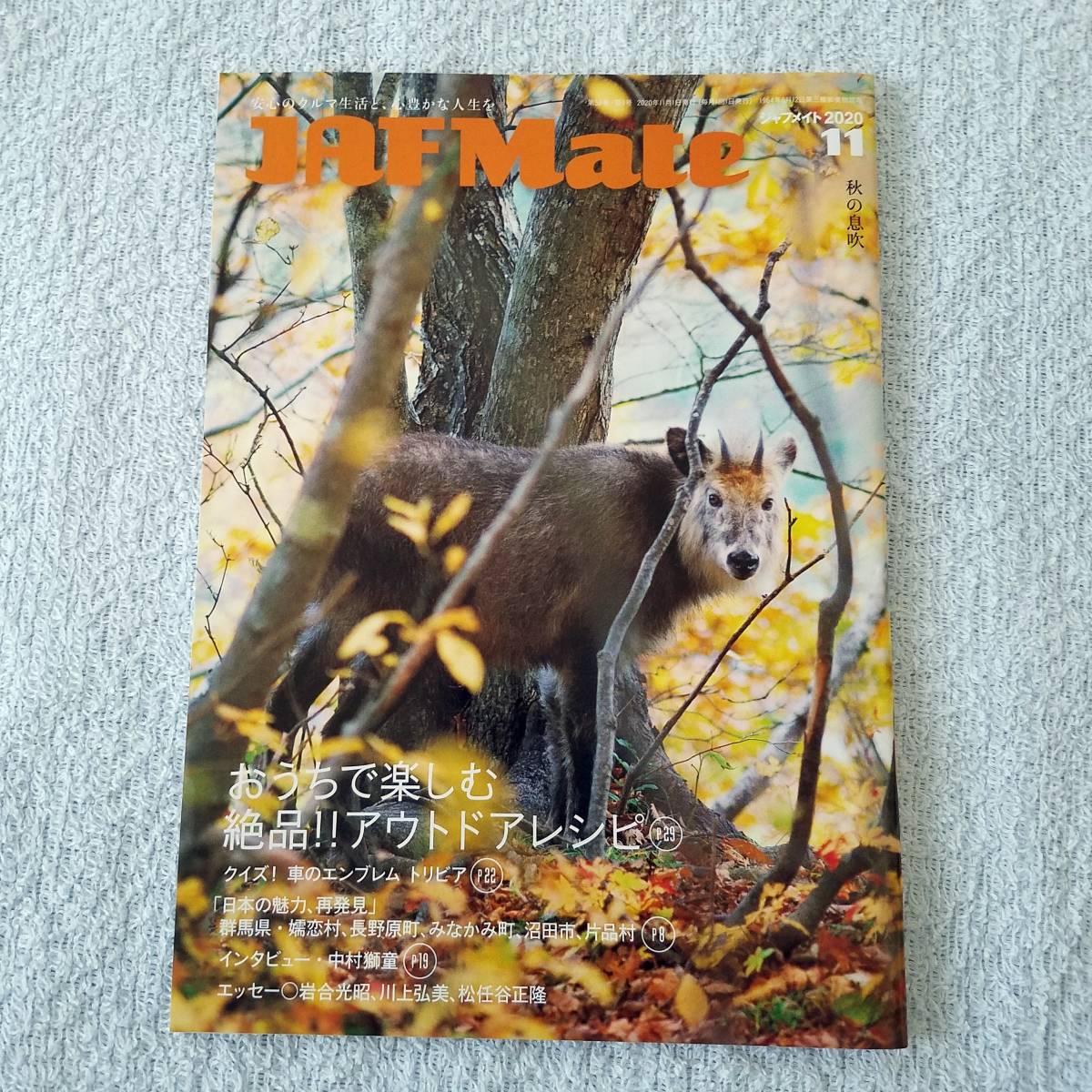 新品 中村獅童 Jaf Mate ジャフメイト 川上弘美 松任谷正隆 岩合光昭 群馬県 嬬恋村 長野原町 みなかみ町 沼田市 片品村 年11月号 の落札情報詳細 ヤフオク落札価格情報 オークフリー スマートフォン版