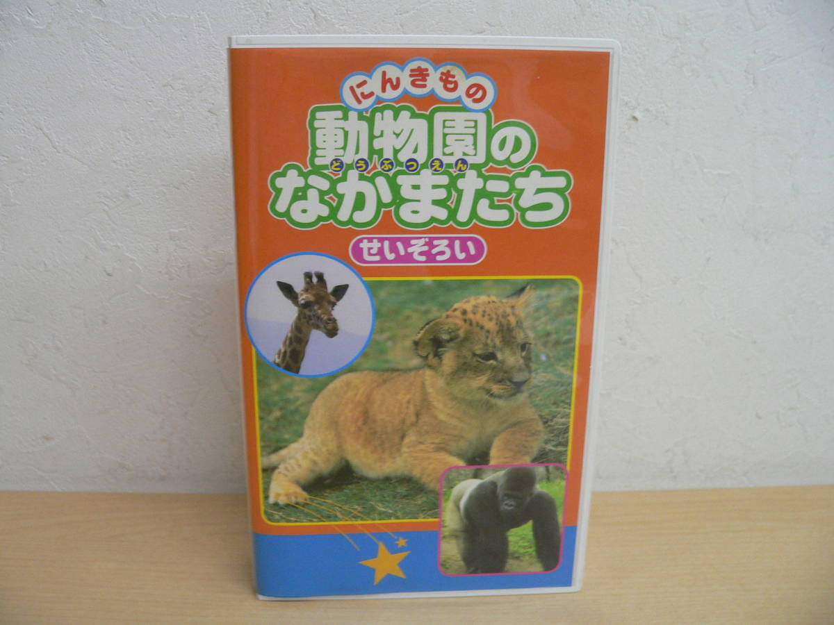 24648Q◇VHS にんきもの 動物園のなかまたち せいぞろいの落札情報詳細