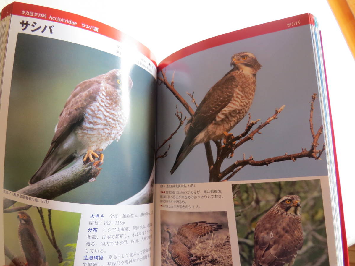 美品 ワシタカ ハヤブサ識別図鑑 真木広造 平凡社 の落札情報詳細 ヤフオク落札価格情報 オークフリー スマートフォン版