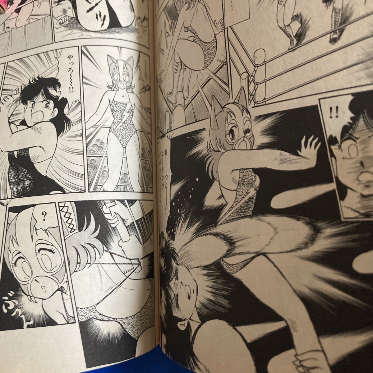 遠山光 女子プロレスエピソード収録コミック3冊 少年マガジンコミックス キャットファイト ミックスファイト の落札情報詳細 ヤフオク落札価格情報 オークフリー スマートフォン版