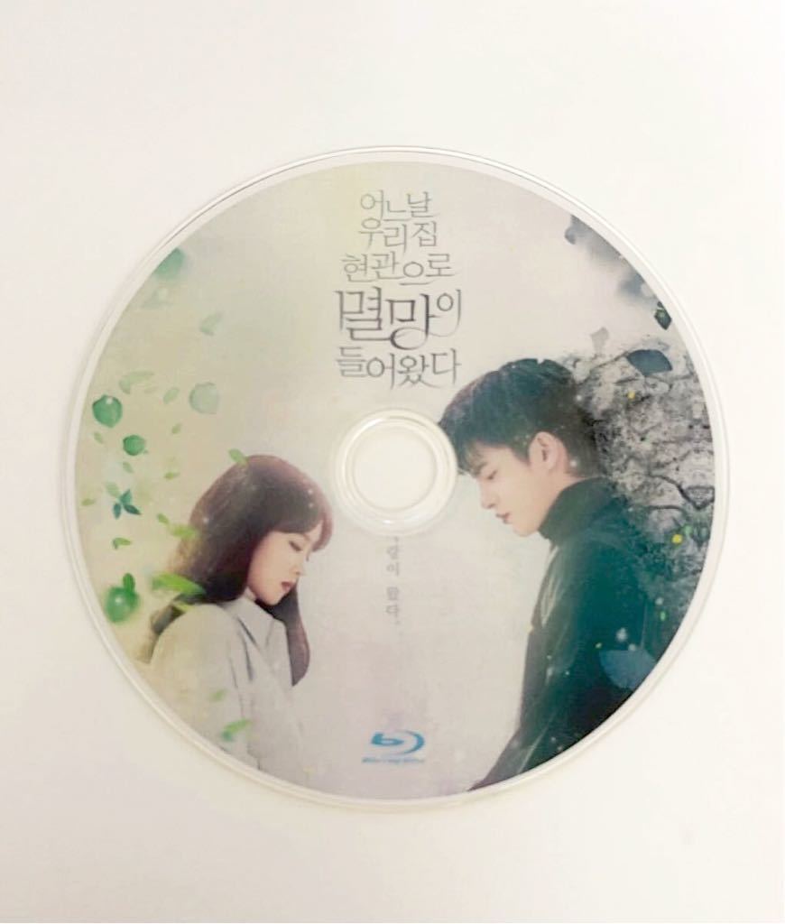 ドラマ ある日私の家の玄関に滅亡が入ってきた Blu-ray