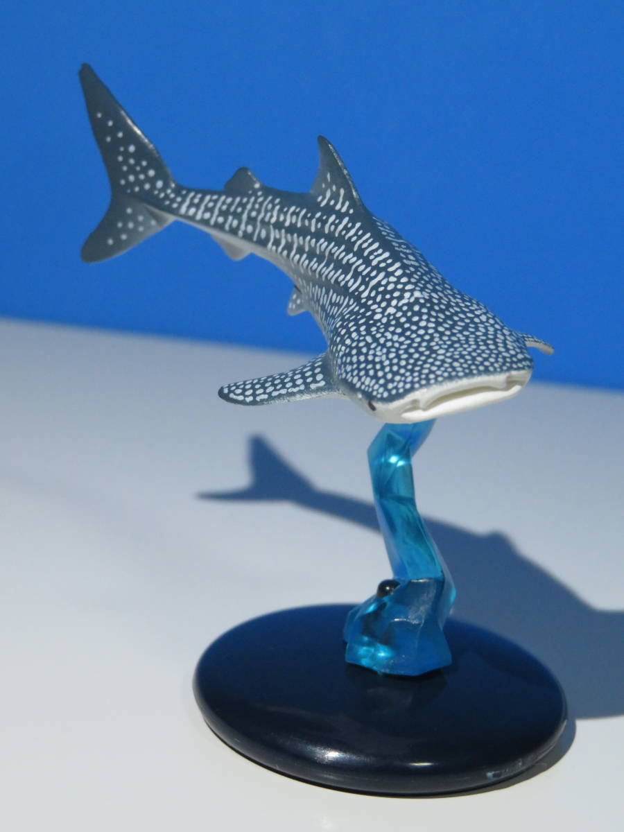 海遊館限定】 海遊館ガチャガチャ オニイトマキエイ アオウミガメ 海