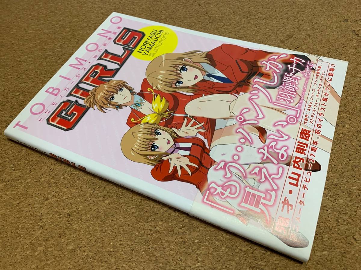 目立った傷や汚れなし】もうパンツしか見えない トビモノガールズ 山内
