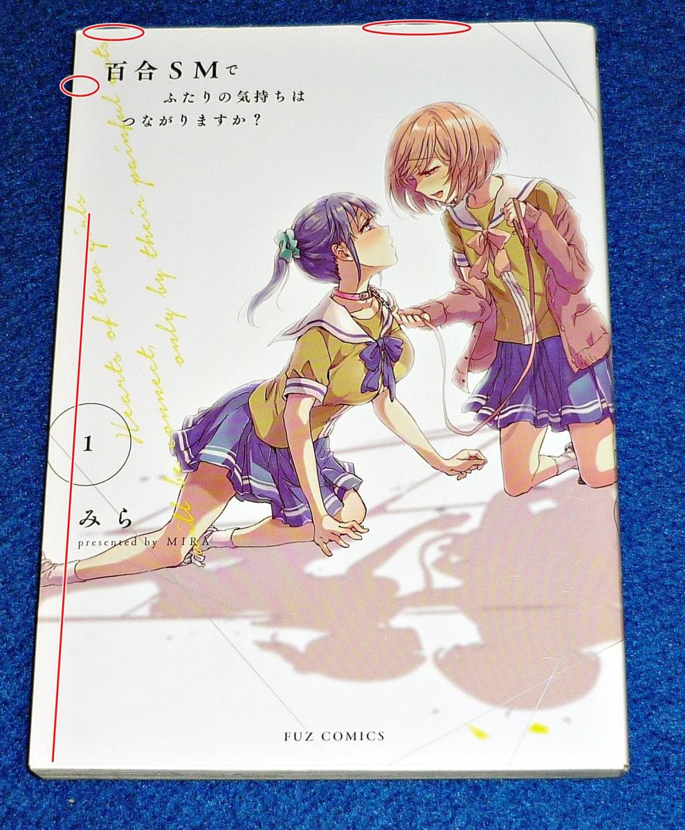 やや傷や汚れあり】 百合SMでふたりの気持ちはつながりますか? (1