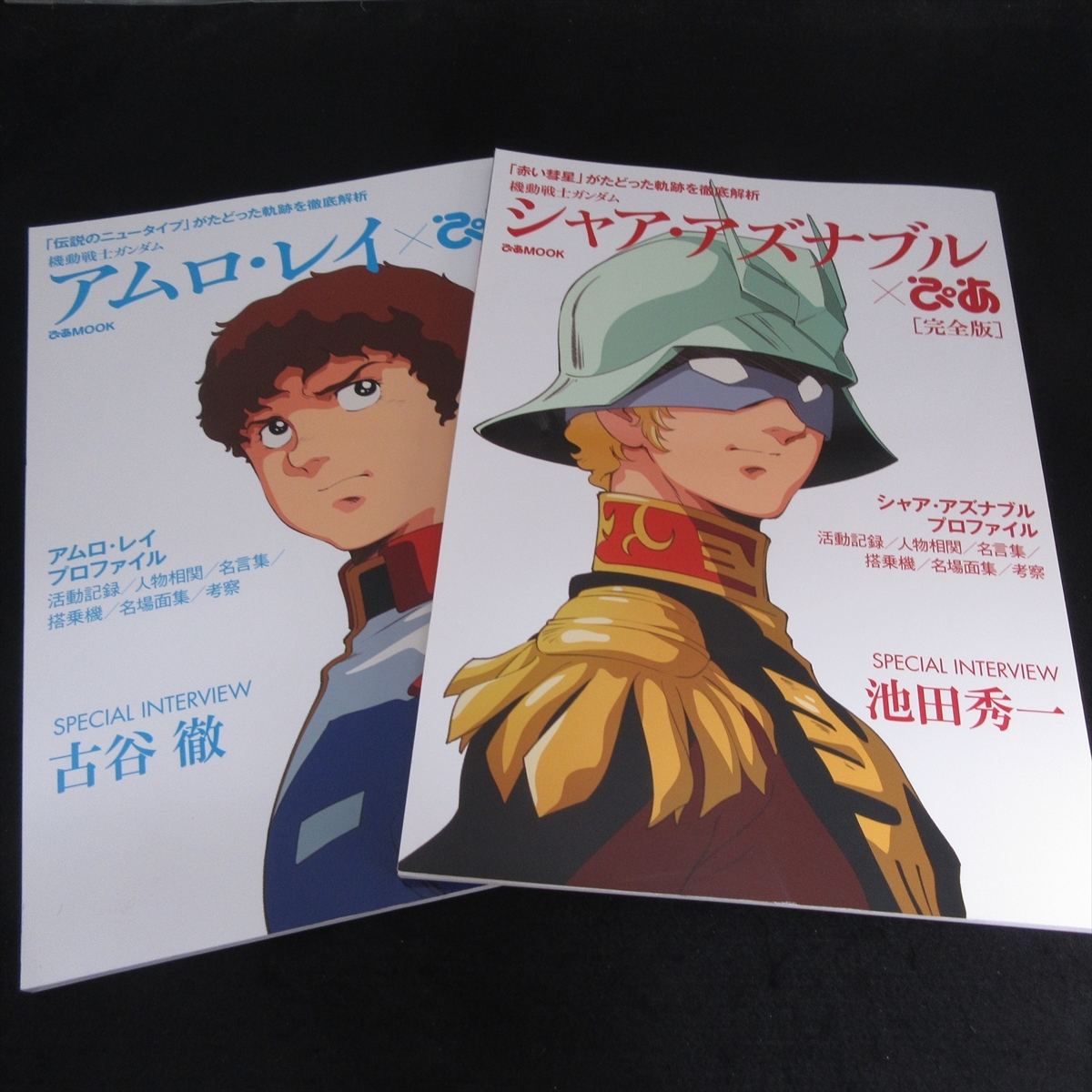 森永 ガンダム S2ー04ー013 アムロ カード シャア 安彦良和 当店限定販売 カード