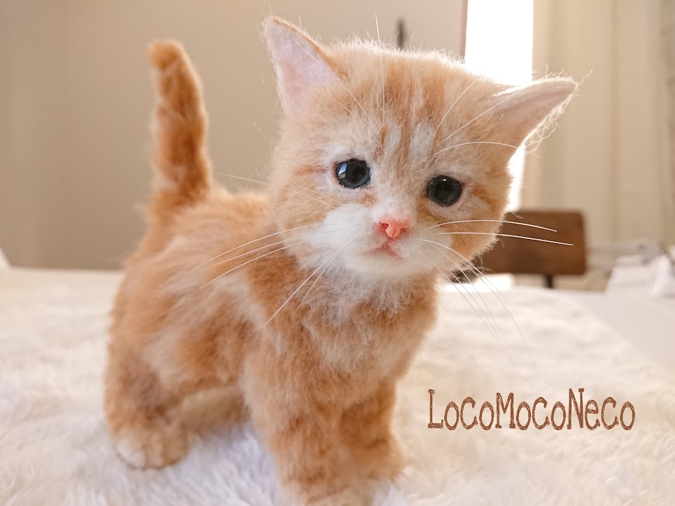 羊毛フェルト　猫　茶トラ仔猫『チョロン君』 羊毛フェルト猫茶トラ仔猫『チョロン君』