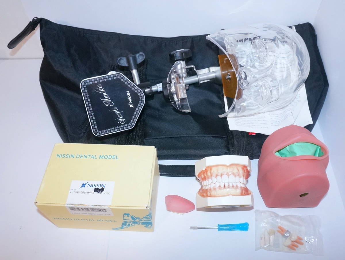 歯科衛生士 NISSIN マネキン 模型 ニッシンシンプルマネキン 歯科衛生士模型実習