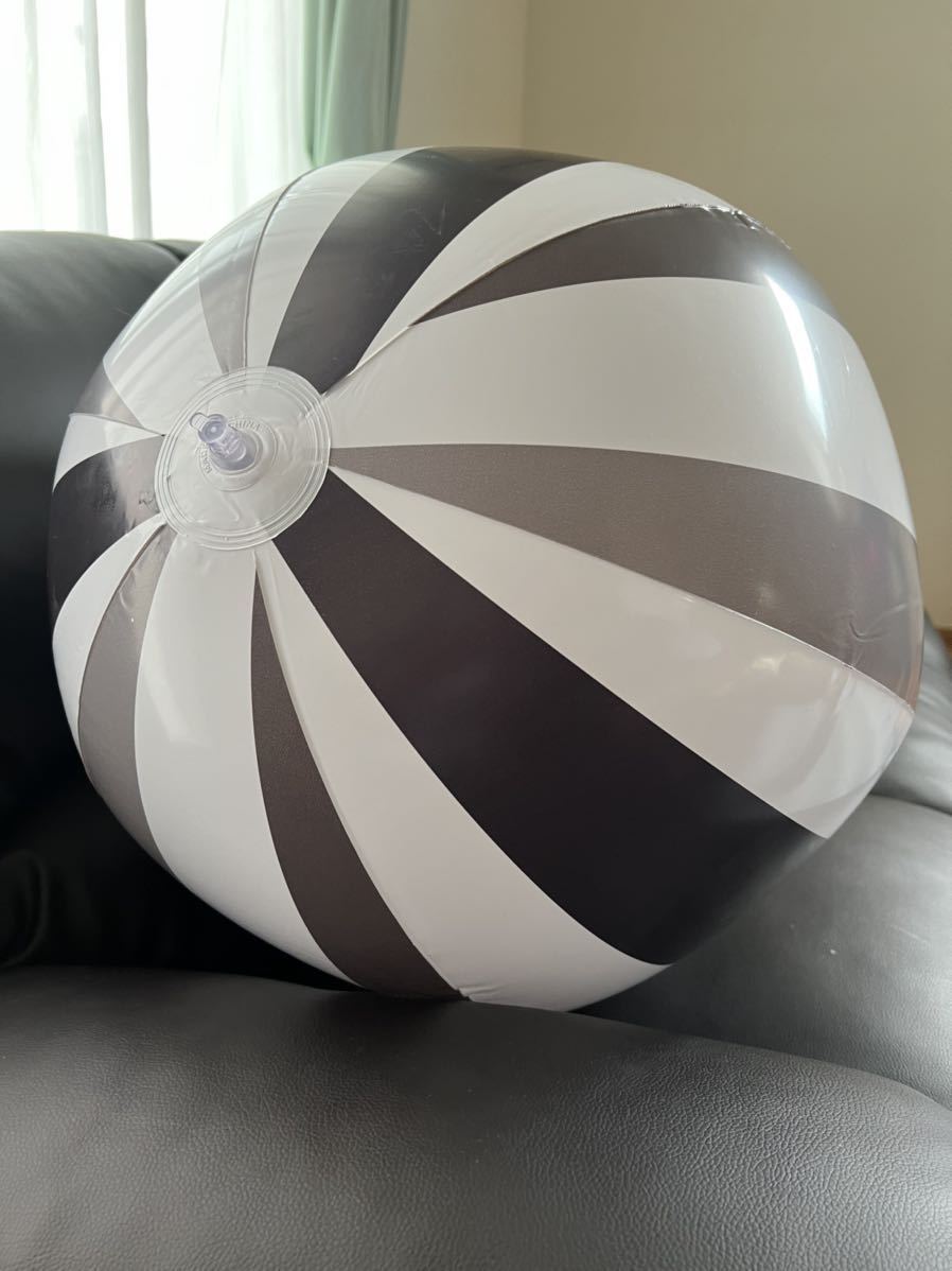 ライドロール 巨大 レア 空ビ 浮き輪 ビーチボール フロート ブラック