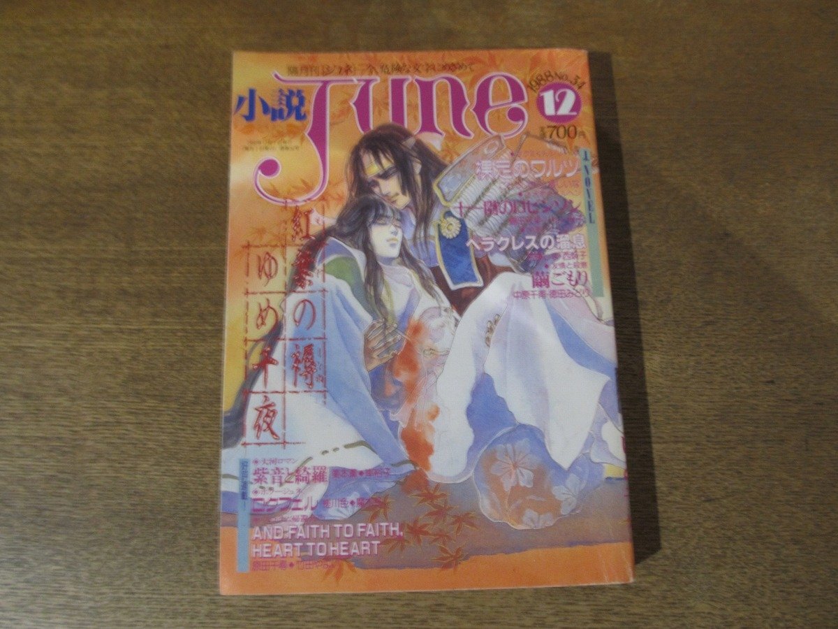 小説JUNE 1988年 12月号 No.34 小林智美 吉田秋生 西炯子 槎川色 魔