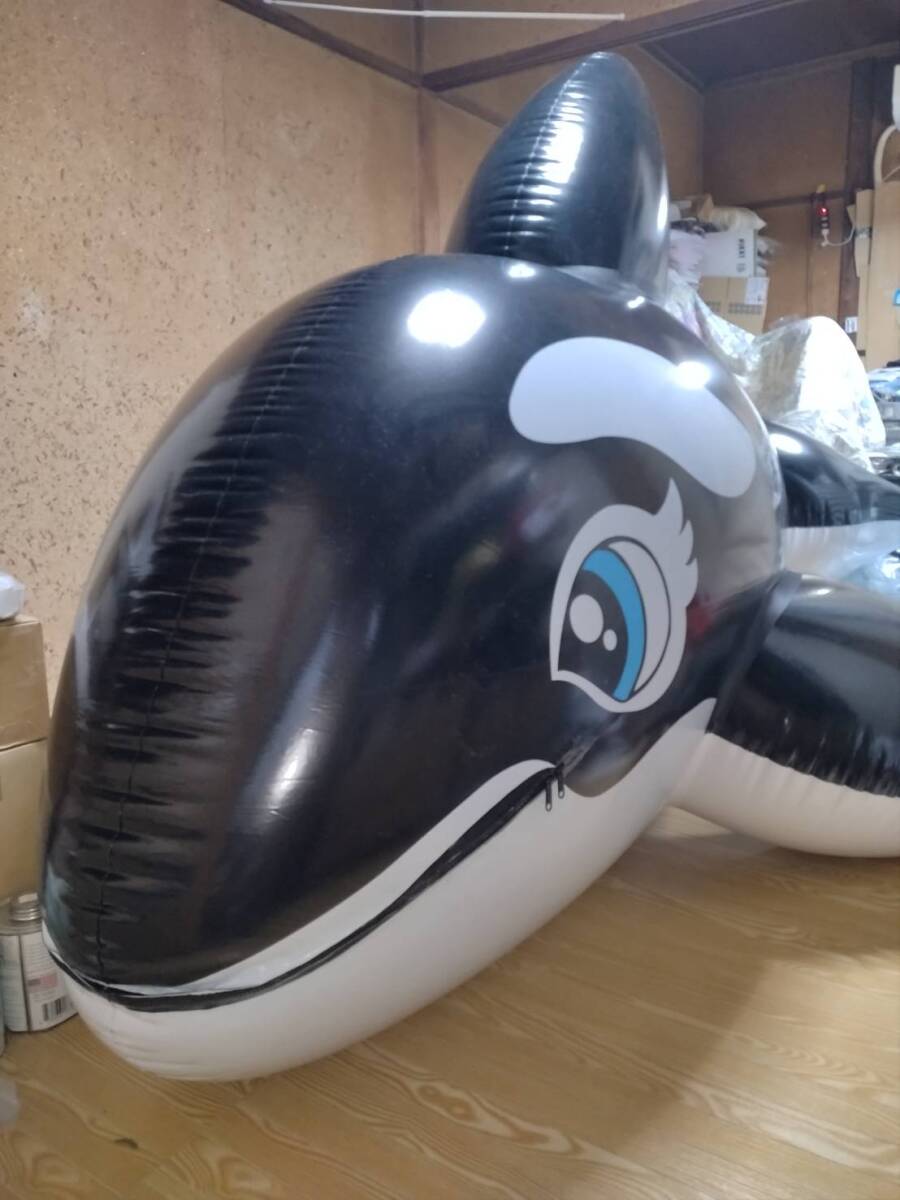 ダブルレイヤード シャチフロート 着ぐるみ （シャチ フロートの落札 