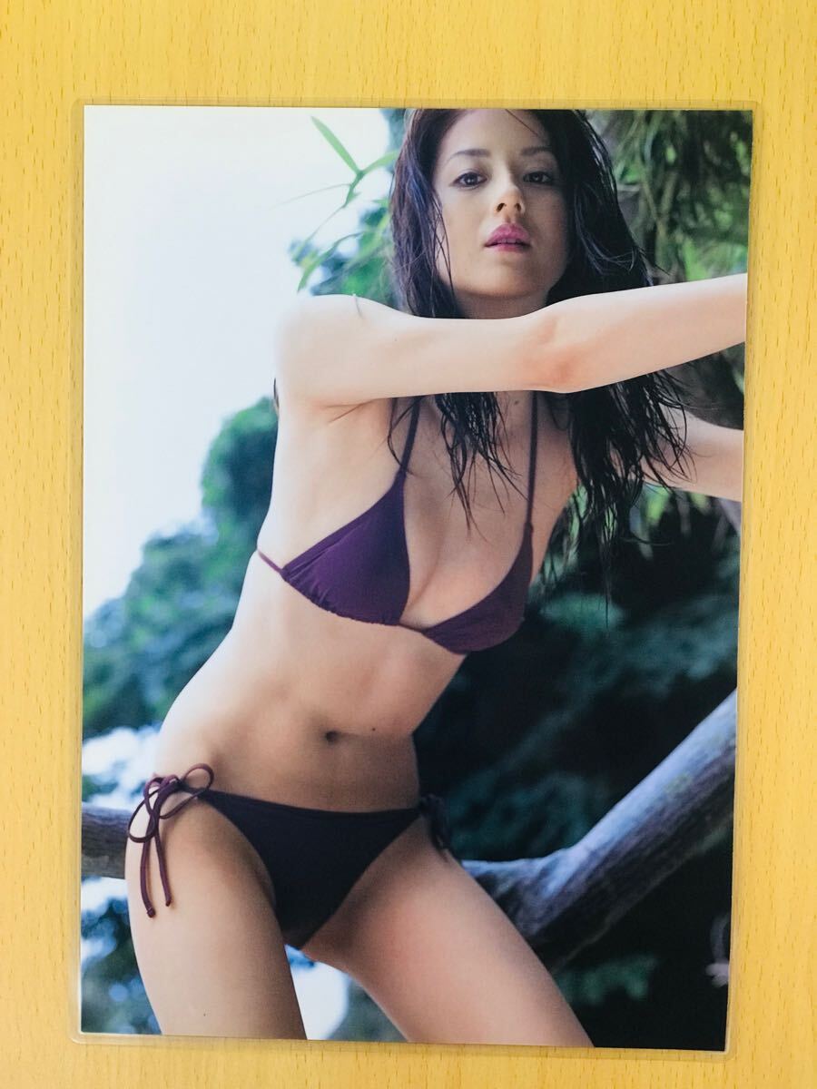 松本若菜　水着 
