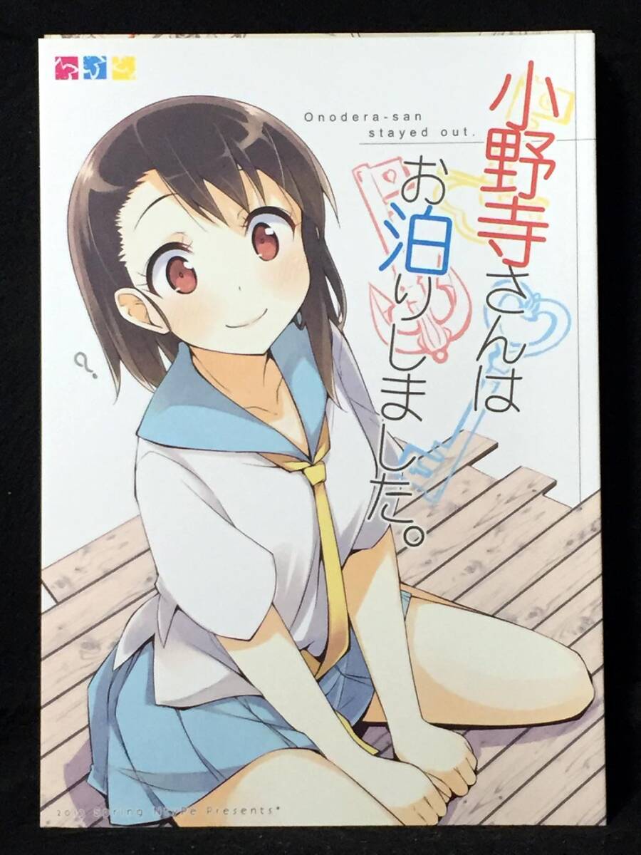乃木乃ノ香 抱き枕カバー (14歳とイラストレーター) NtyPe 溝口