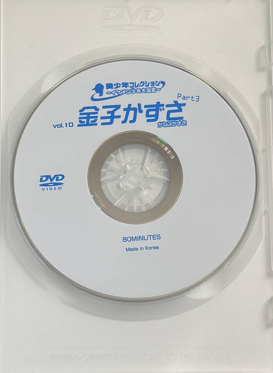 電波少女　DVD 電波少女 電波少女 OWARI NO HAJIMARI DVD