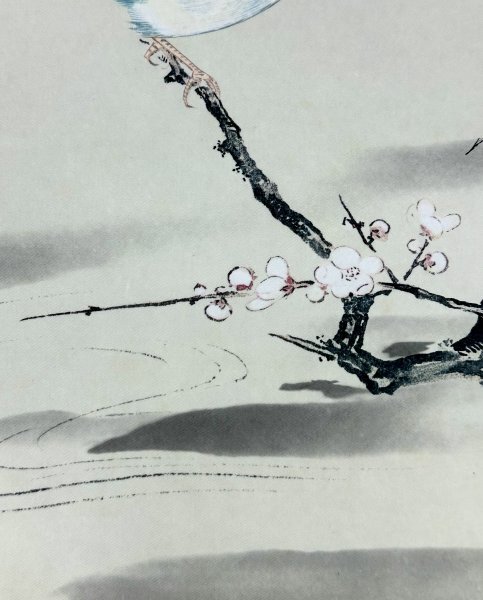 【模写】佐々木泉玄「孔雀図」絹本 掛軸 加賀藩御用絵師 日本画 M884 模写】佐々木泉玄「孔雀図」絹本 掛軸 加賀藩御用絵師 日本画