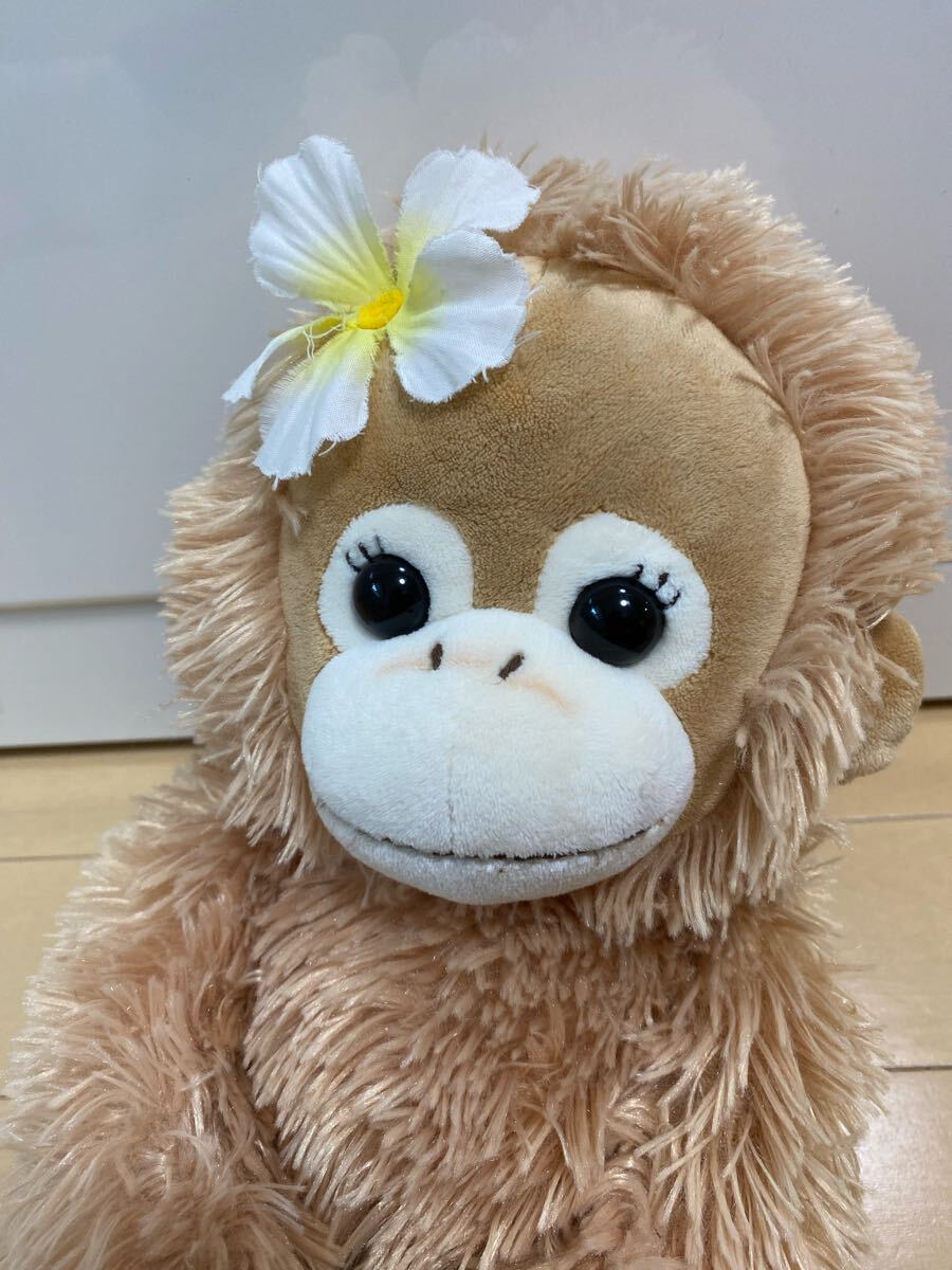 やや傷や汚れあり】ベイビーココ&ナツ ぬいぐるみ ベイビーナツ BABY