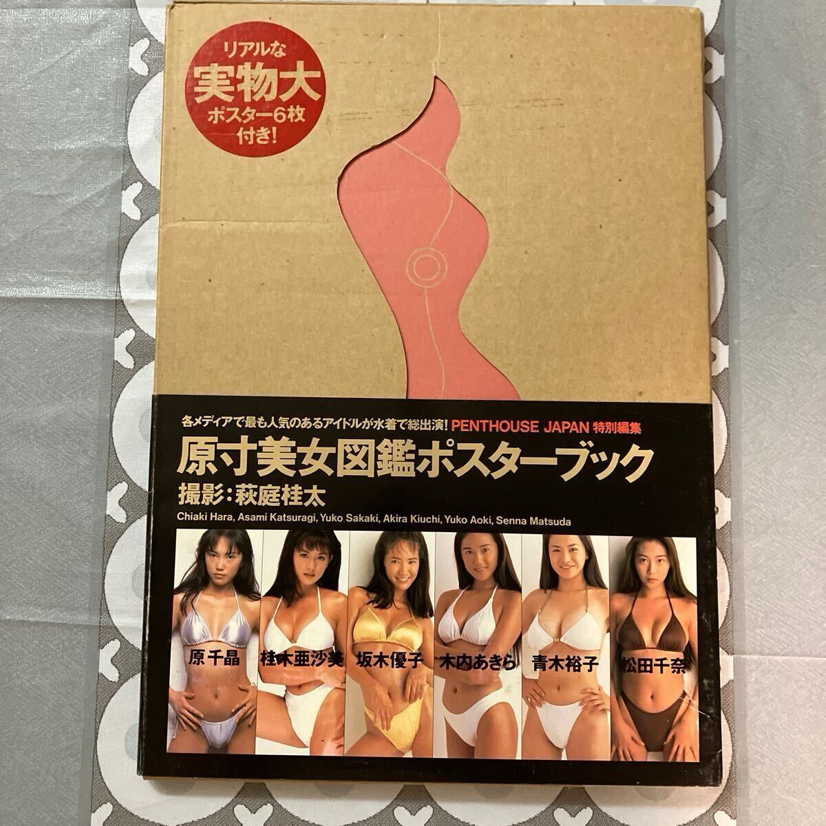 未使用】B2 サイズ 【 青木裕子 】等身大 風 大判 ポスター 超大判