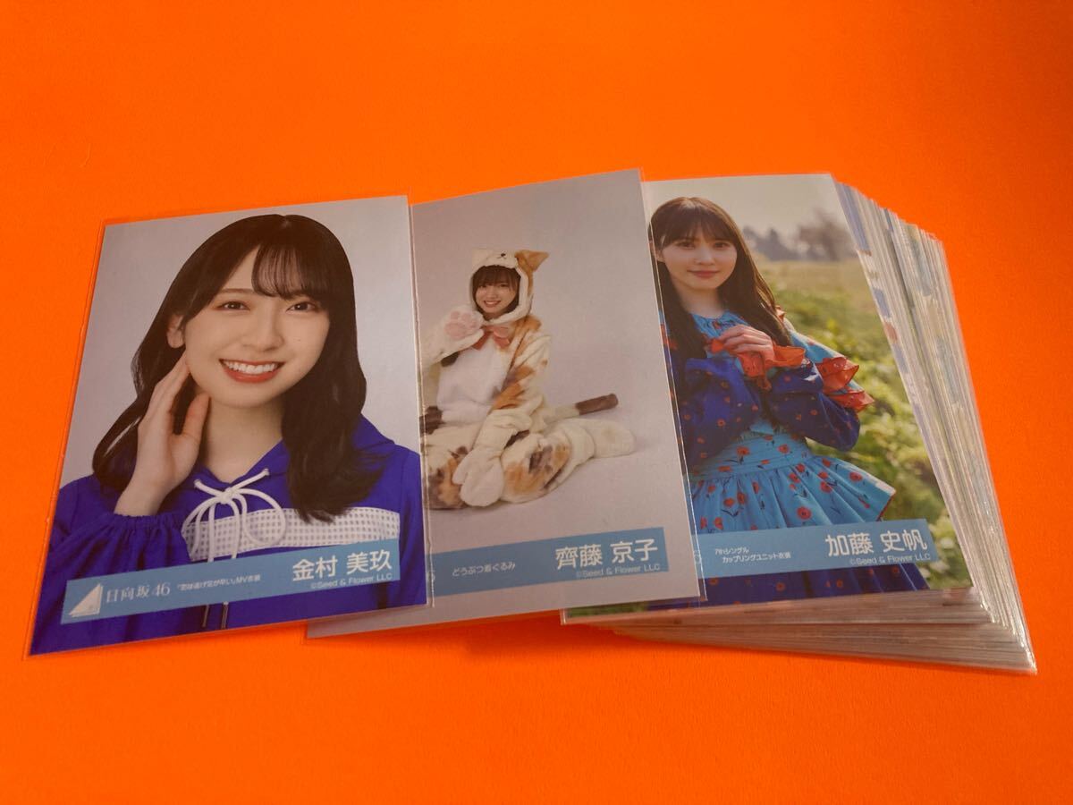 けやき坂46 齊藤京子 直筆サイン入りフリーペーパー