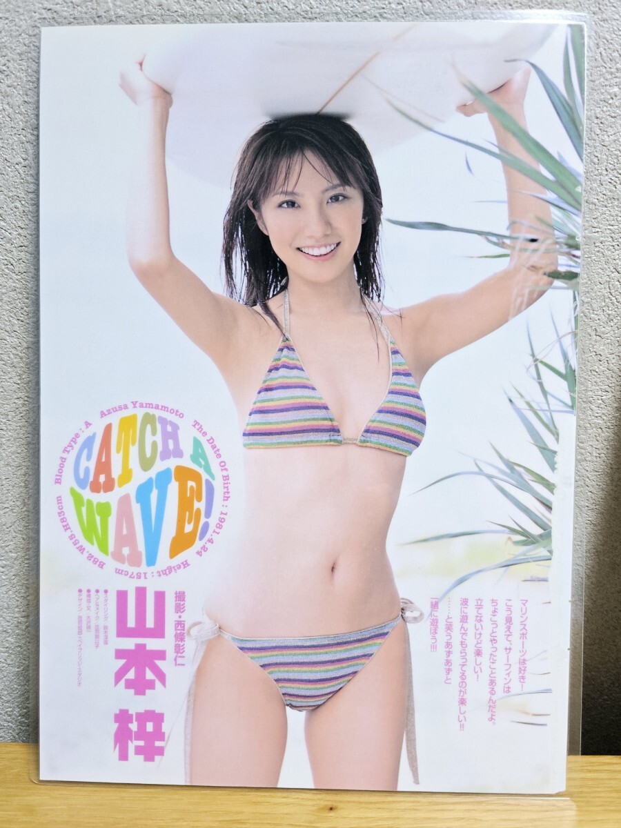 週刊ヤングサンデー 2004年No.27 グラビア切り抜き 綾瀬はるか