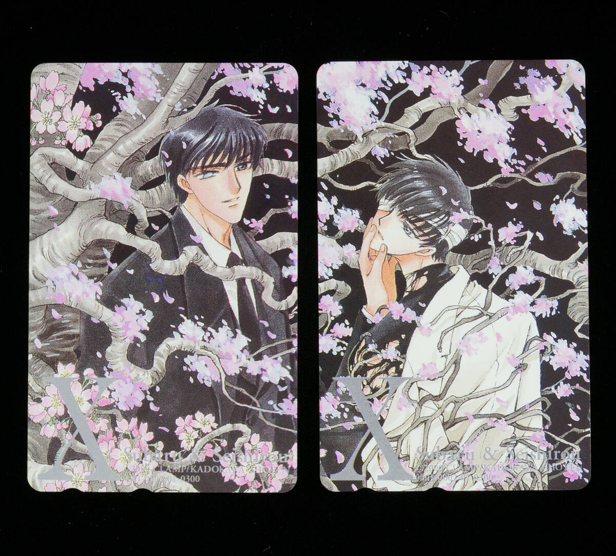 CLAMP X 皇昴流 桜塚星史郎クリアポスター CLAMP X 皇昴流 桜塚星史郎クリアポスター - メルカリ