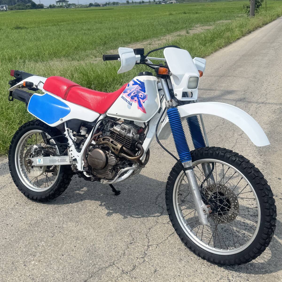 Sl Rh 【目立った傷や汚れなし】ホンダ XLR250R 好調 ヤマハカワサキスズキ検)XR DT TDR XL TL KDX SL RH TLM DR ...