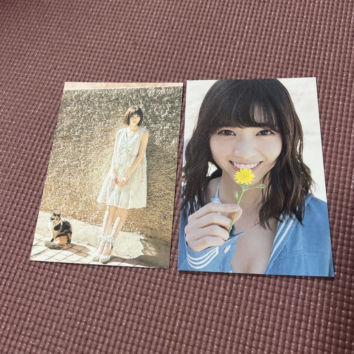 中古】乃木坂46 西野七瀬 直筆サイン入り生写真『風を着替えて』Aの