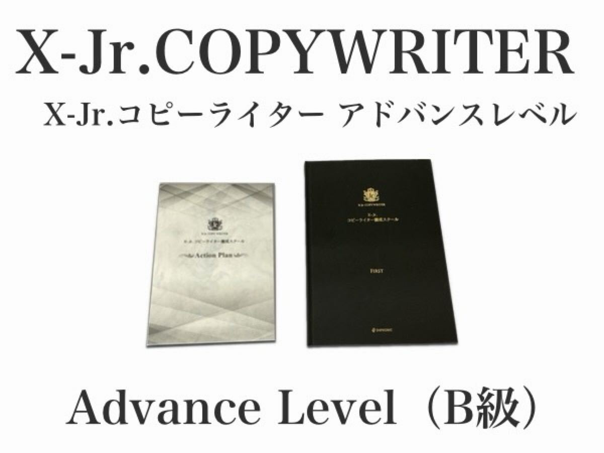2026年最新Yahoo!オークション 「平秀信、MrX : Mr.X Jr（ジュニア 