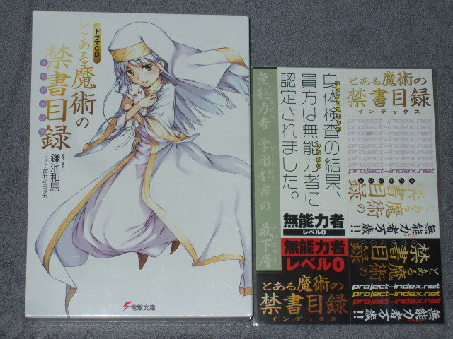 新品】著者サイン入り電撃文庫ヒロインズ複製原画 とある魔術の禁書
