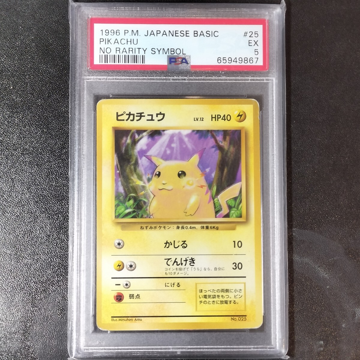 ☆美品 希少 pokemon the park 2005 ポケパーク ピンズセット