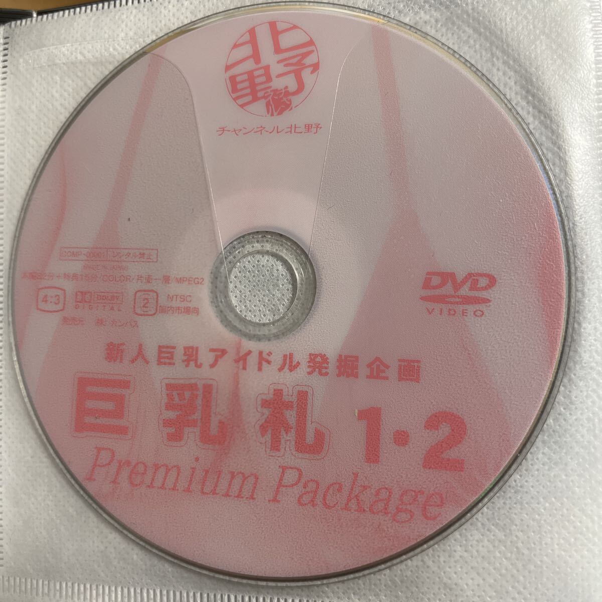 やや傷や汚れあり】千原こずえ 橘ちあき 中古 グラビア アイドル DVD