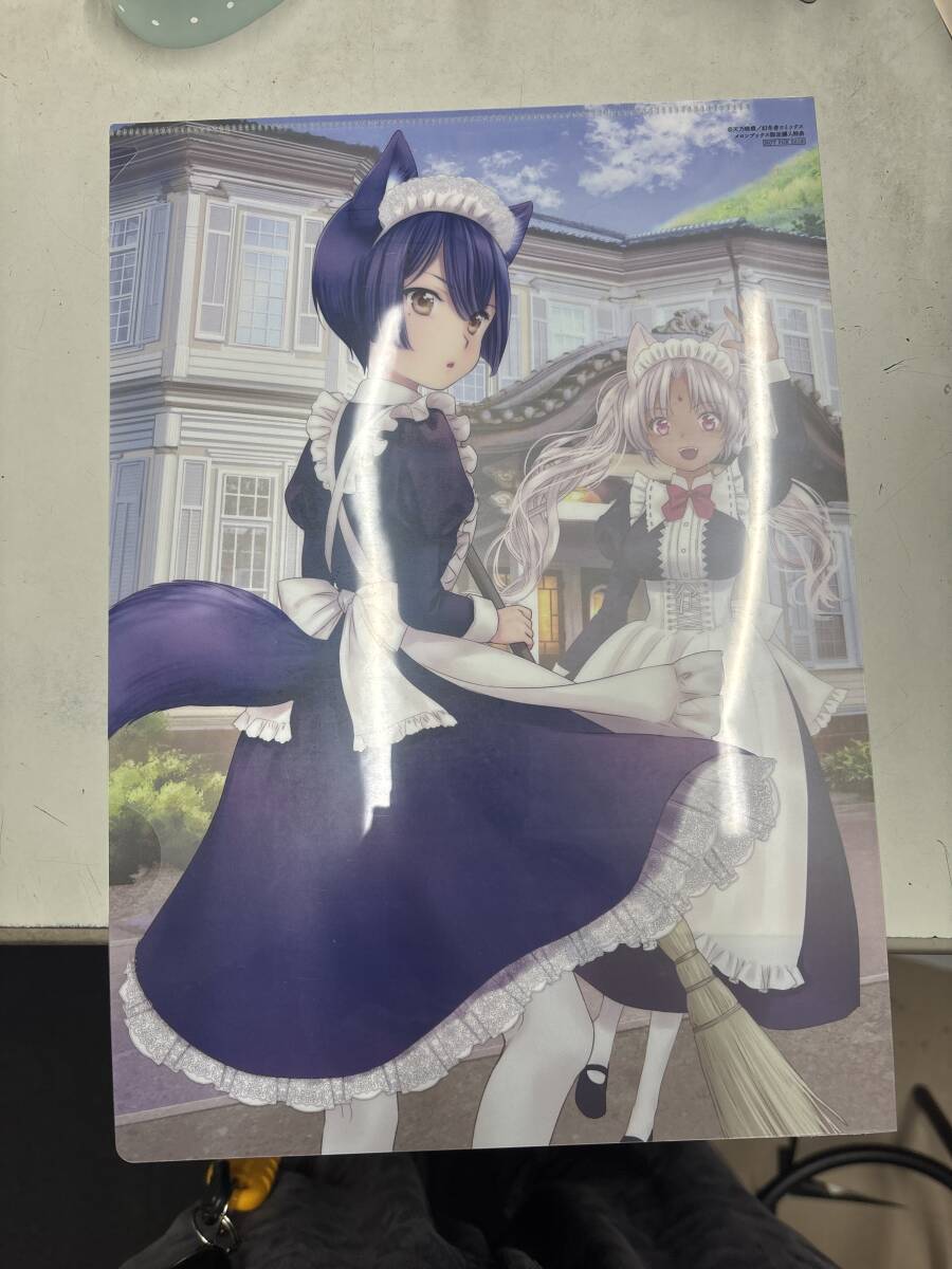 新品】このはな綺譚（此花亭奇譚） コミック1巻特典 複製サイン原画の