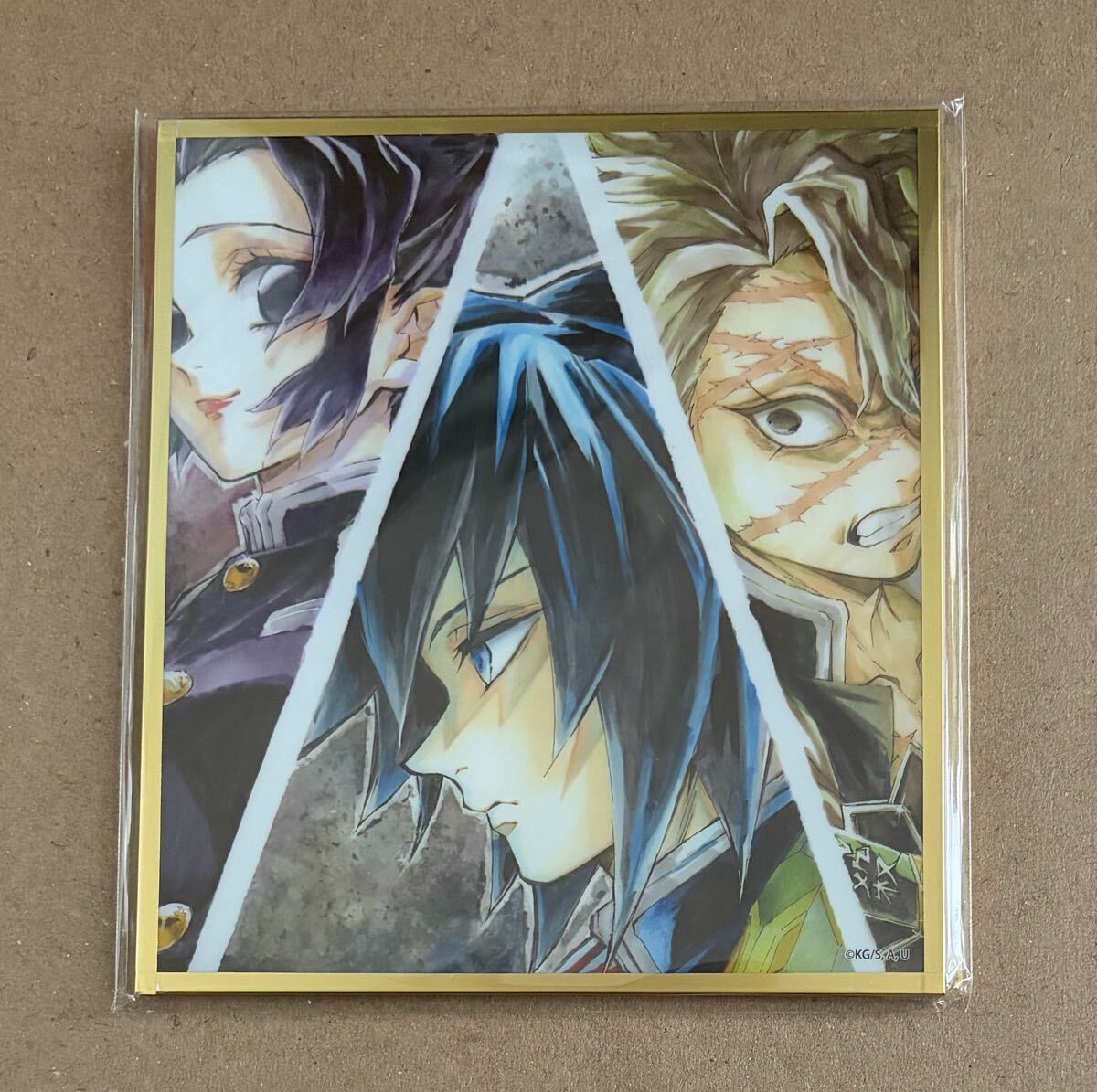 新品】鬼滅の刃『胡蝶しのぶ』【同人 手描き イラスト】鉛筆画の落札