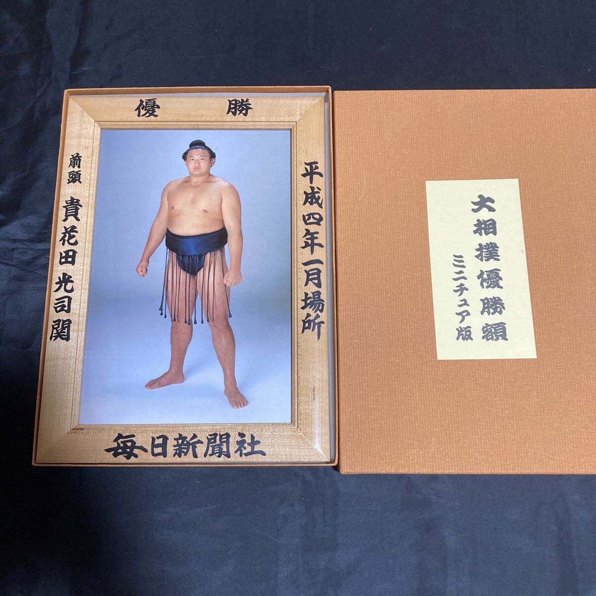 大相撲 1992年11月☆貴花田 最年少大関への道の落札情報詳細